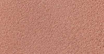 standard, terracotta, ferro plus