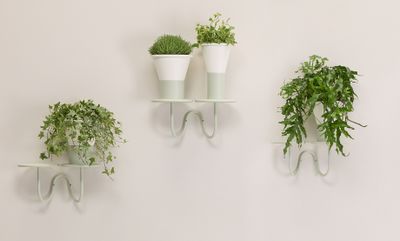 Mimosa - Plant holder - wall mounted - S•CAB