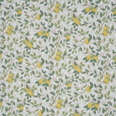 CitrontrÄd Ivory And Leaf