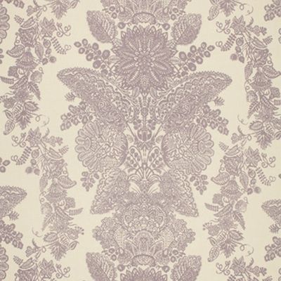 Lace Orchid