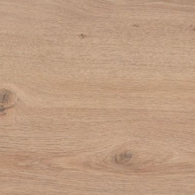 QUERCIA MONTANA