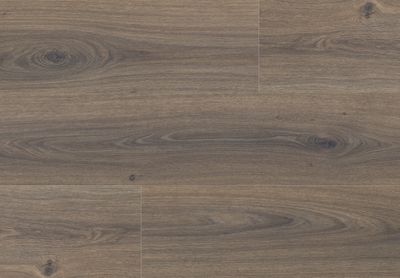 ROVERE ACADIA