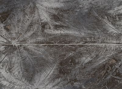 Sedona Palms Dekoracje 898x658 | Tubądzin