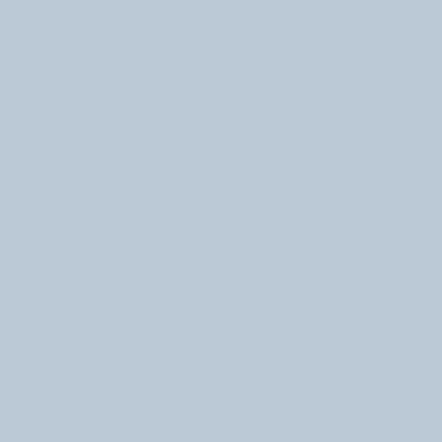 Paint Color Dusty Light Blue #B9CAD5 | VERNICE ITALIA