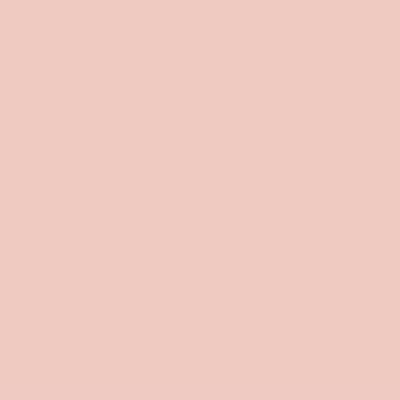 Paint Color Pastel Pink #F1CAC2 | VERNICE ITALIA