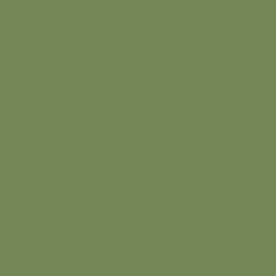 Pittura Colore Avocado | Vernice Italia
