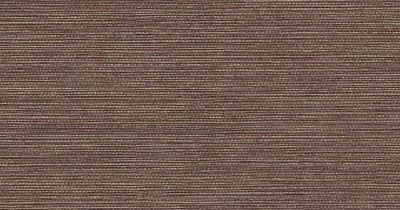 Wolf-Gordon - BL50053DU - Dune - Sepia | Wallcovering