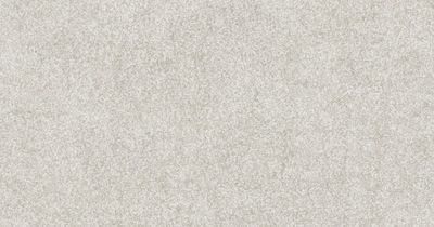Wolf-Gordon - BL50088RK - Rock - Salt | Wallcovering
