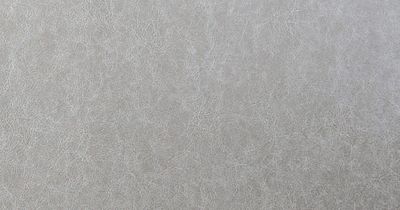 Wolf-Gordon - CYP 9793 - Cypress - Granite | Upholstery