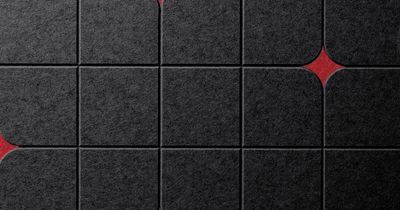 Wolf-Gordon - GEMN B715+T710 - Gemini | GATHER Acoustical