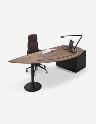 S100 Desk