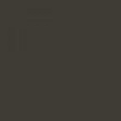 RAL 6006 Grey Olive Aerosol Spray Paint 1K/2K 400ml