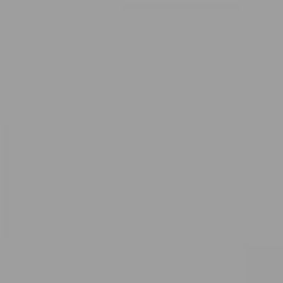 RAL 9022 Pearl Light Grey Aerosol Spray Paint 1K/2K 400ml