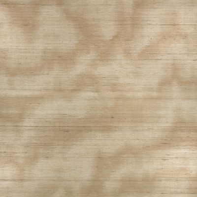 Caractère Wallcovering Spun Gold