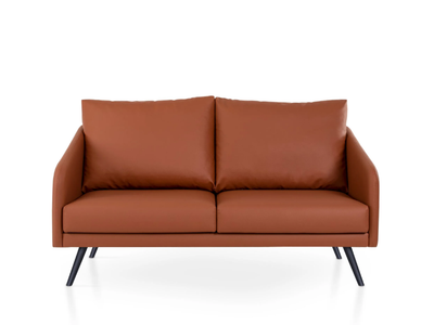 VERA - 2 seater leather sofa _ 5A Design