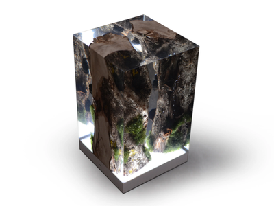 MOSS - LED table lamp _ Alcarol