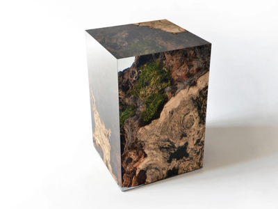 STUMP CHESTNUT - Solid wood and resin coffee table / stool _ Alcarol