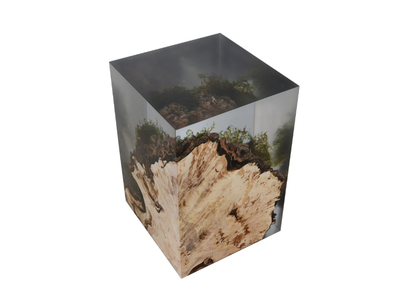 STUMP HORNBEAM - Stool / coffee table _ Alcarol