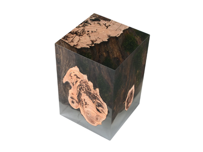STUMP LARCH - Stool / coffee table _ Alcarol