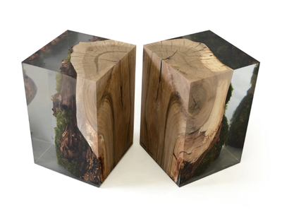 STUMP WALNUT - Stool / coffee table _ Alcarol