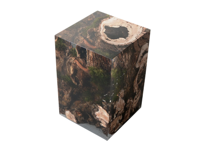 STUMP WILLOW - Stool / coffee table _ Alcarol