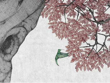 COLIBRÌ II - Wallpaper _ BeWall