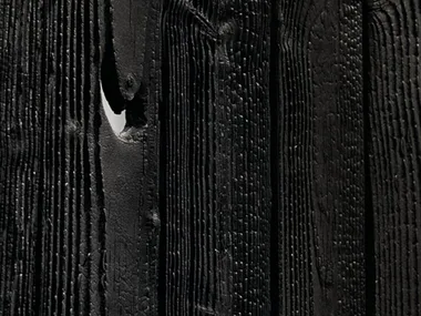 BARDAGE DOUGLAS MASANOBU - Douglas wall tiles _ CarréSol Éditions