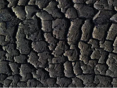 BARDAGE DOUGLAS UTAMARO - Douglas wall tiles _ CarréSol Éditions