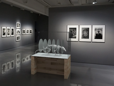 CRAFTWAND® - Exhibition system _ CRAFTWAND