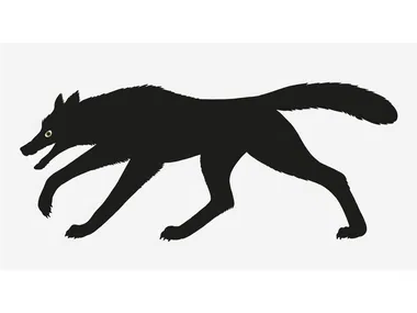 CINQUE, IL LUPO - Silkscreen _ Danese Milano