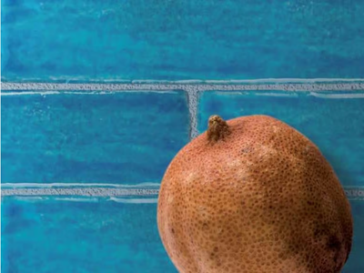 MARE - Faïence wall tiles _ Danilo Ramazzotti