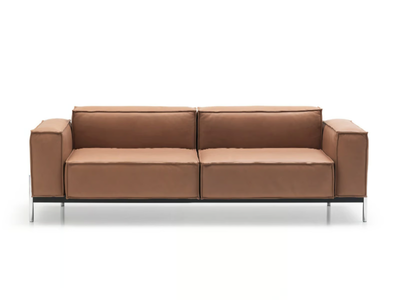 DS-21 QUBIC - 2 seater leather sofa