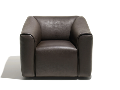 DS-47 BULL - Leather armchair with armrests