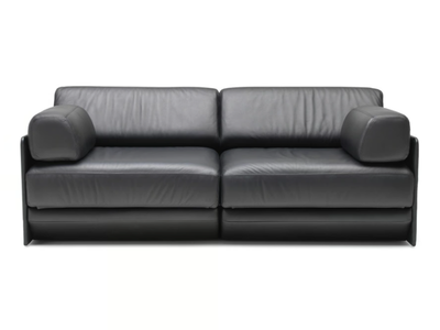 DS-76 - Convertible leather sofa