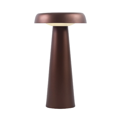 ARCELLO - LED metal table lamp with USB _ DFTP
