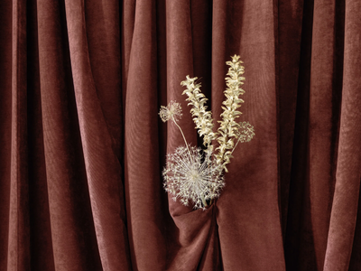 PHILAE - Dimming velvet fabric _ Élitis