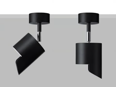 LAD S10 WW - Adjustable wall or ceiling projector _ Flexalighting