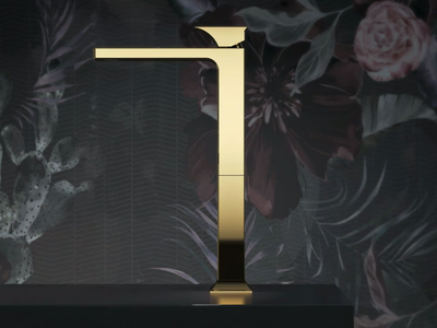 RAJIA - High single handle 1 hole washbasin mixer _ GEDA
