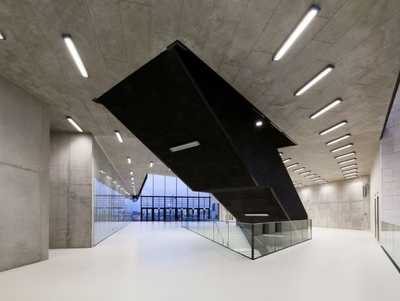 GERFLOR-DLW LINOLEUM - Antibacterial linoleum continuous flooring _ Gerflor