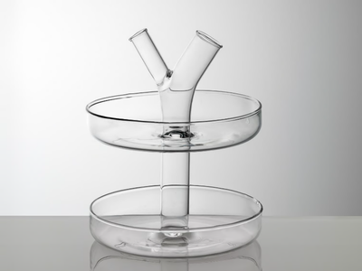 PEONY - Glass centerpiece _ ivv