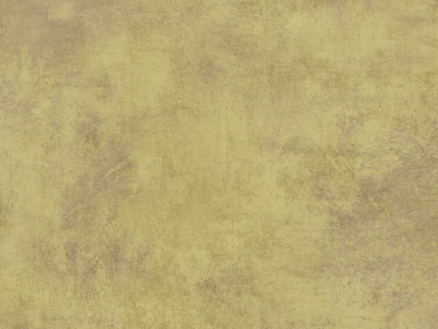 PITTURA - Nonwoven wallpaper _ Jannelli&Volpi