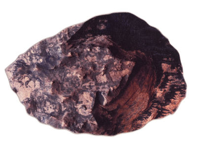 ERUTUF - Oval polyamide rug _ JCP UNIVERSE