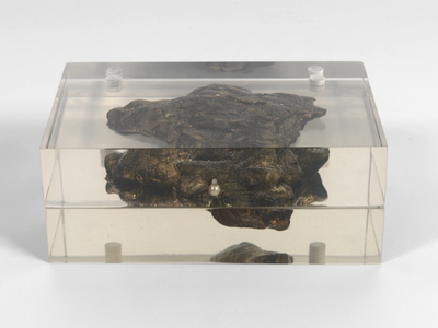 SIDEROID AZIMUTH - Resin storage box _ JCP UNIVERSE