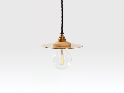 ROSWELL SMALL - Brass pendant lamp _ Liqui Contracts