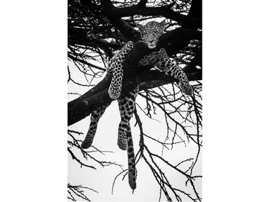 LB-002 - Author made artistic print _ MOMENTI