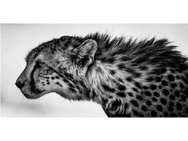 LB-012 - Author made artistic print _ MOMENTI