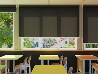 HANDLE 1765 - Dimming roller blind _ Mottura