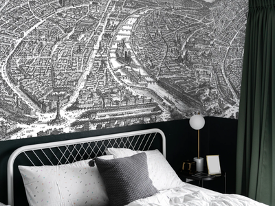 LA SEINE - Panoramic wallpaper _ PaperMint