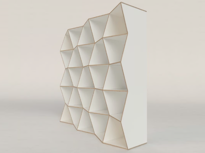 MESH - Plywood shelving unit _ Radis
