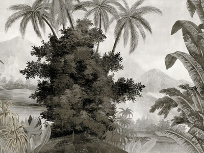 TANA GRISAILLE - Landscape wallpaper _ Ressource